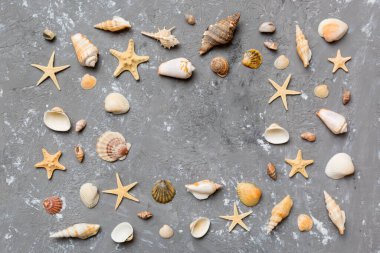 Yaz zamanı konsepti düz kompozisyon ile güzel deniz yıldızları ve deniz kabukları renkli tablo üzerinde yatıyordu, metin için metin alanı ile üst görünüm.