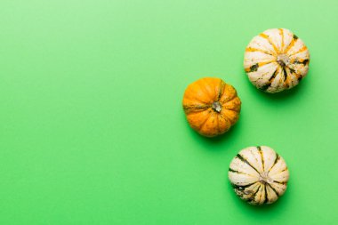 Renkli masa arkasında küçük turuncu balkabaklarının sonbahar kompozisyonu. Sonbahar, Cadılar Bayramı ve Şükran Günü konsepti. Sonbahar düz fotoğraf çekimi. Üst görünüm vith kopyalama alanı.