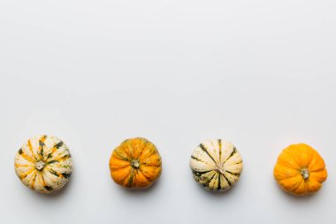 Renkli masa arkasında küçük turuncu balkabaklarının sonbahar kompozisyonu. Sonbahar, Cadılar Bayramı ve Şükran Günü konsepti. Sonbahar düz fotoğraf çekimi. Üst görünüm vith kopyalama alanı.