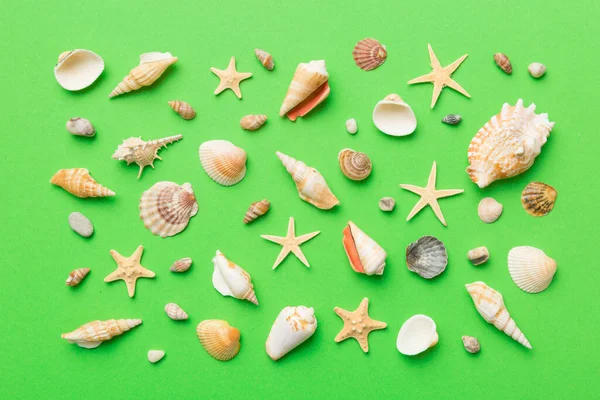Yaz mevsimi konsepti deniz yıldızları ve deniz kabukları ile bezenmiş düz bir kompozisyon, renkli masa, üst görünüm.