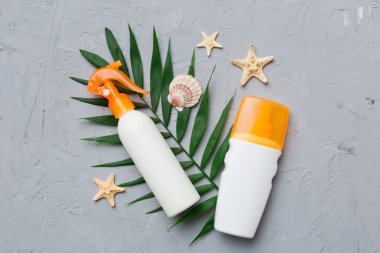 Güneş kremi şişesi. Güneş korumalı krem ve tropik yeşil yapraklı deniz kabukları olan bir şişe..