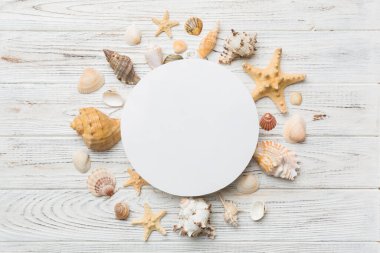 Yaz mevsimi konsepti, boş tebrik kartı ve renkli arkaplan üzerine boş beyaz kağıt. Çerçeve şeklinde deniz kabukları metin üstü görünümü için boşluk ile ayrılmış.