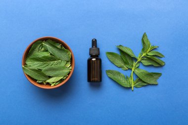 Cam Şişedeki Doğal Nane Özeli Yağı. Renkli arka planda nane özlü bitkisel kozmetik ürünleri.