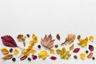 Sonbahar kompozisyonu. Masadaki kurumuş yapraklar ve diğer tasarım aksesuarlarından oluşan desen. Düz yatış, üst görünüm.