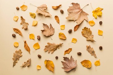 Sonbahar kompozisyonu. Masadaki kurumuş yapraklar ve diğer tasarım aksesuarlarından oluşan desen. Düz yatış, üst görünüm.