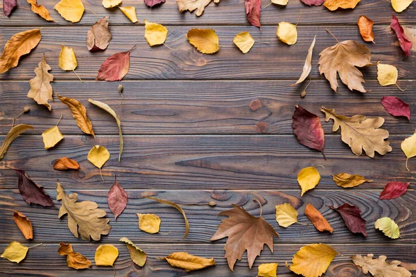 秋天的构图是用干叶 球果和橡果制成的 平面布局 顶视图 复制空间 — 图库照片