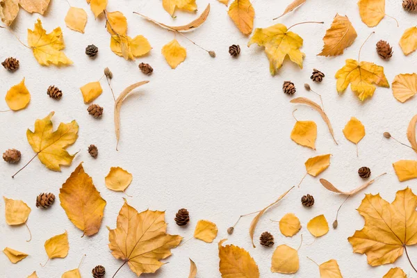 秋天的构图是用干叶 球果和橡果制成的 平面布局 顶视图 复制空间 — 图库照片