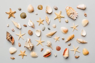 Yaz mevsimi konsepti deniz yıldızları ve deniz kabukları ile bezenmiş düz bir kompozisyon, renkli masa, üst görünüm.