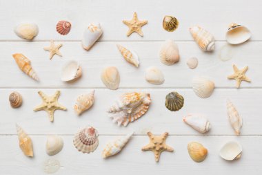 Yaz mevsimi konsepti deniz yıldızları ve deniz kabukları ile bezenmiş düz bir kompozisyon, renkli masa, üst görünüm.