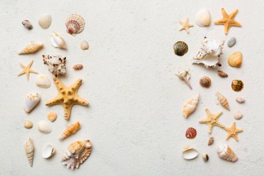 Yaz zamanı konsepti düz kompozisyon ile güzel deniz yıldızları ve deniz kabukları renkli tablo üzerinde yatıyordu, metin için metin alanı ile üst görünüm.