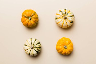 Renkli masa arkasında küçük turuncu balkabaklarının sonbahar kompozisyonu. Sonbahar, Cadılar Bayramı ve Şükran Günü konsepti. Sonbahar düz fotoğraf çekimi. Üst görünüm vith kopyalama alanı.