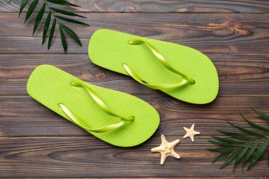 Renkli arka planda parmak arası terlikleri ve deniz kabuğu olan düz bir kompozisyon. Metin üstü görünümü için boşluk.