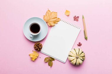 Sonbahar kompozisyonu: Düşen yapraklar ve el işi çizimleri renkli arka planda taklit edilir. Üst Manzara. Kopyalama alanı olan düz.