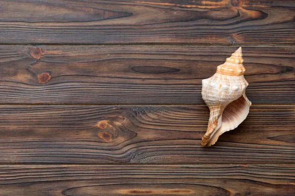 Sommerzeit Konzept Flache Liegekomposition Mit Schönen Seesternen Und Muscheln Auf — Stockfoto