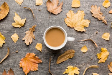 Sonbahar yapraklı bir fincan kakao soyut natürmort yaşam üst görünüm kopyalama alanı.