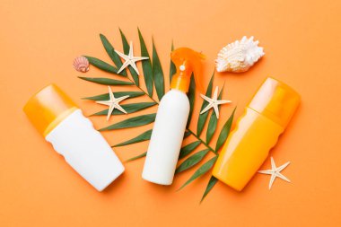 Güneş kremi şişesi. Güneş korumalı krem ve tropik yeşil yapraklı deniz kabukları olan bir şişe..