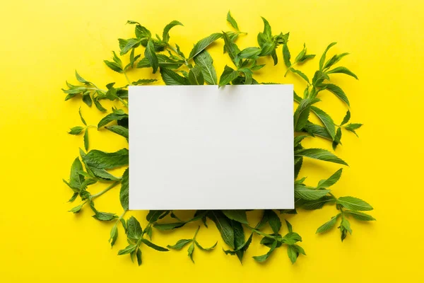 Wreath frame made of empty paper blank with space for text and mint leaves on colored background. . Mint Pattern. Flat lay. Top view.