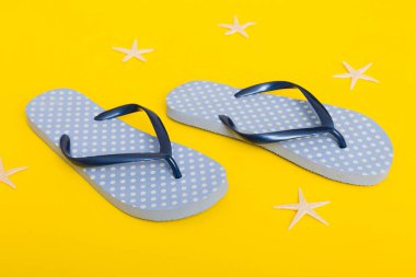 Plaj aksesuarları. Renkli arka planda parmak arası terlik ve denizyıldızı. Üst görünüm Kopyalama alanı ile modelle.