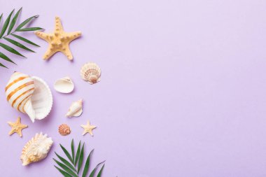Yaz zamanı konsepti düz kompozisyon ile güzel deniz yıldızları ve deniz kabukları renkli tablo üzerinde yatıyordu, metin için metin alanı ile üst görünüm.