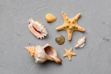 Yaz mevsimi konsepti deniz yıldızları ve deniz kabukları ile bezenmiş düz bir kompozisyon, renkli masa, üst görünüm.