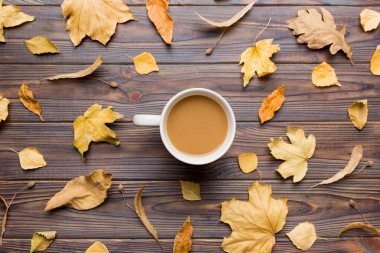 Sonbahar yapraklı bir fincan kakao soyut natürmort yaşam üst görünüm kopyalama alanı.