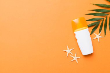 Güneş kremi şişesi. Güneş korumalı krem ve tropik yeşil yapraklı deniz kabukları olan bir şişe..