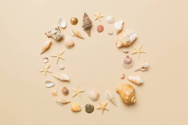 Renkli arka planda yaz zamanı konsepti. Çerçeve şeklinde deniz kabukları metin üstü görünümü için boşluk ile ayrılmış.