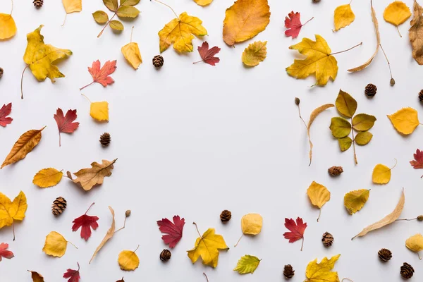 Masadaki kurumuş yapraklar, koniler ve meşe palamutlarından oluşan sonbahar kompozisyonu. Düz yatış, üst görünüm.