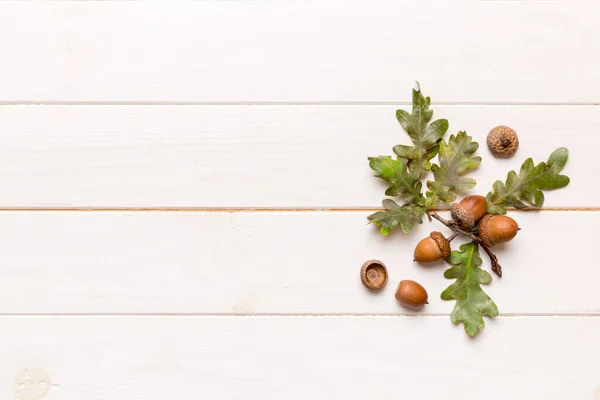 Tak Met Groene Eiken Bladeren Eikels Gekleurde Achtergrond Van Dichtbij — Stockfoto