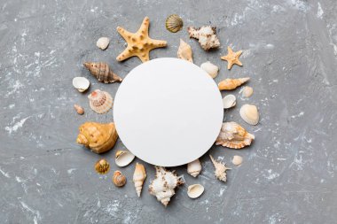 Yaz mevsimi konsepti, boş tebrik kartı ve renkli arkaplan üzerine boş beyaz kağıt. Çerçeve şeklinde deniz kabukları metin üstü görünümü için boşluk ile ayrılmış.