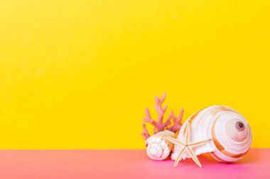 Renkli arka planda plaj deniz kabukları. Kopyalama alanı kullan.