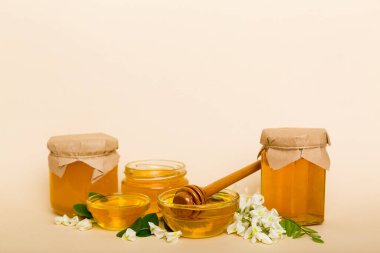 robinia honey bollte with acacacia flomes on color table.