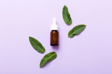 Cam Şişedeki Doğal Nane Özeli Yağı. Renkli arka planda nane özlü bitkisel kozmetik ürünleri.