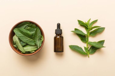 Cam Şişedeki Doğal Nane Özeli Yağı. Renkli arka planda nane özlü bitkisel kozmetik ürünleri.