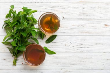 Arka planda bir fincan nane çayı. Fotokopi alanı ile taze nane görünümlü yeşil çay.