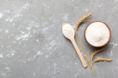 Tahta kasede buğday unu ve renkli arka planda buğday dikenleri. dünya buğday krizi.