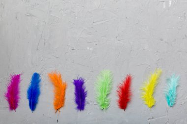 Renkli arka planda parlak renkli kuş tüylerinin arka planı, üst görünüm. Boşluğu kopyala.