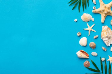 Summer time concept Flat lay composition with beautiful starfish and sea shells on colored table, top view with copy space for text.