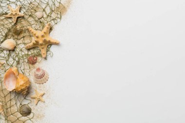 Yaz zamanı konsepti düz kompozisyon ile güzel deniz yıldızları ve deniz kabukları renkli tablo üzerinde yatıyordu, metin için metin alanı ile üst görünüm.