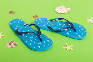 Plaj aksesuarları. Renkli arka planda parmak arası terlik ve denizyıldızı. Üst görünüm Kopyalama alanı ile modelle.