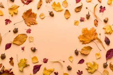 Masadaki kurumuş yapraklar, koniler ve meşe palamutlarından oluşan sonbahar kompozisyonu. Düz yatış, üst görünüm.