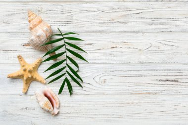 Yaz zamanı konsepti düz kompozisyon ile güzel deniz yıldızları ve deniz kabukları renkli tablo üzerinde yatıyordu, metin için metin alanı ile üst görünüm.