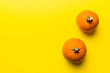 Renkli masa arkasında küçük turuncu balkabaklarının sonbahar kompozisyonu. Sonbahar, Cadılar Bayramı ve Şükran Günü konsepti. Sonbahar düz fotoğraf çekimi. Üst görünüm vith kopyalama alanı.