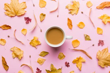 Sonbahar yapraklı bir fincan kakao soyut natürmort yaşam üst görünüm kopyalama alanı.