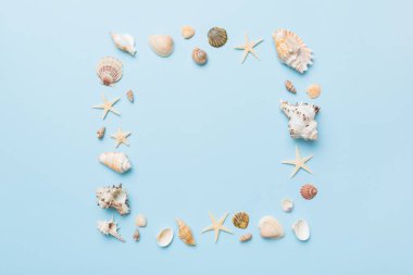 Renkli arka planda yaz zamanı konsepti. Çerçeve şeklinde deniz kabukları metin üstü görünümü için boşluk ile ayrılmış.
