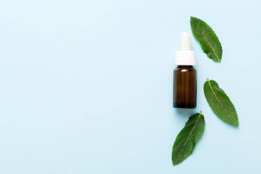 Cam Şişedeki Doğal Nane Özeli Yağı. Renkli arka planda nane özlü bitkisel kozmetik ürünleri.