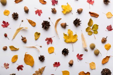 Sonbahar kompozisyonu. Masadaki kurumuş yapraklar ve diğer tasarım aksesuarlarından oluşan desen. Düz yatış, üst görünüm.