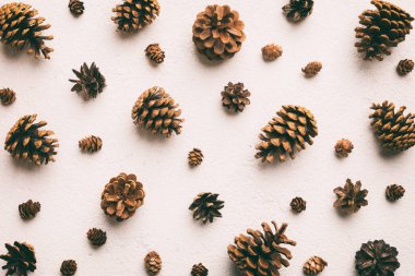 Çam kozalakları renkli masada. Çam kozalakları bir araya toplanmış doğal tatil geçmişi. Düz yatıyordu. Kış konsepti.