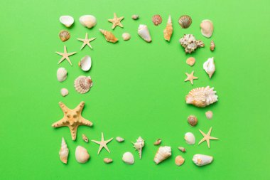 Renkli arka planda yaz zamanı konsepti. Çerçeve şeklinde deniz kabukları metin üstü görünümü için boşluk ile ayrılmış.