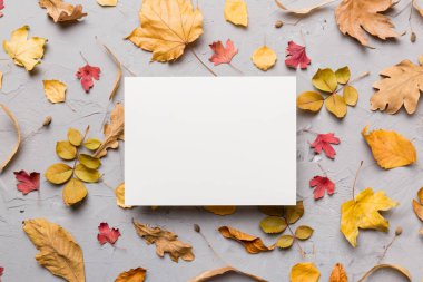 Kağıt boş ve kurumuş yapraklarla sonbahar kompozisyonu. Düz konum, üst görünüm, kopyalama alanı.